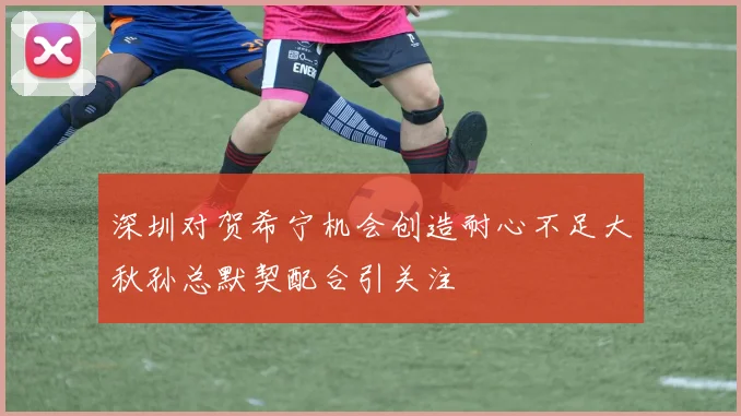 深圳对贺希宁机会创造耐心不足大秋孙总默契配合引关注